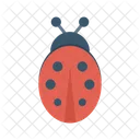 Coccinella  Icon