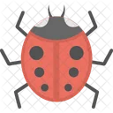 Coccinella Insetto Coccinella Icon