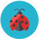 Coccinelle Streamline Kameleon Icon