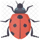 Coccinelle  Icône