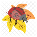 Thanksgiving Insecte Scarabees Icon