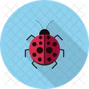 Coccinelle  Icône