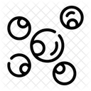 Coccus  Icon