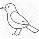 Cochin Bird Chicken Icon