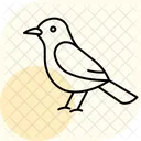 Cochin Bird Chicken Icon