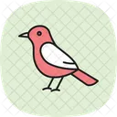 Cochin Bird Chicken Icon