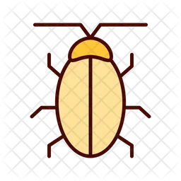 Cochroach  Icon