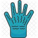 Cocina Guantes Limpieza Icono