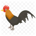 Cock Pet Animal Feather Creature Icon