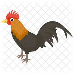 Cock  Icon