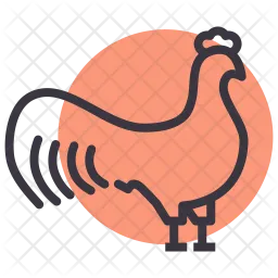 Cock  Icon