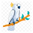 Cockatoo Cacatuidae White Parrot Icon
