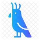 Cockatoo Fauna Parrot Icon