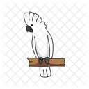 Cockatoo Bird Parrot Icon