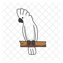 Cockatoo  Icon