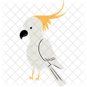 Cockatoo  Icon