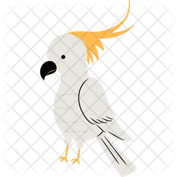 Cockatoo  Icon