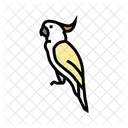 Cockatoo Parrot  Icon