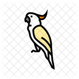 Cockatoo Parrot  Icon