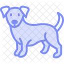 Cocker Spaniel Cockerspaniel Perro Icono