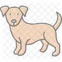 Cocker Spaniel Cockerspaniel Perro Icono