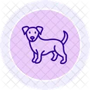 Cocker Icono