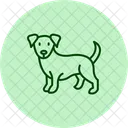 Cocker Spaniel Perro Mascota Icono