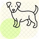 Cocker Spaniel Cockerspaniel Perro Icono