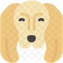 Cocker Spaniel Dog Pet Icon