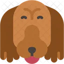 Cocker Spaniel Breed Pets Icon