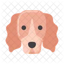 Cocker Spaniel dog  Icon