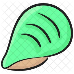 Cockle  Icon