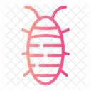 Cockroach Entomology Animal Icon