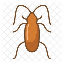 Cockroach Icon