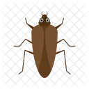 바퀴벌레 동물 야생 생물 아이콘