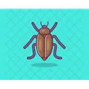 Cockroach Insect Moth Icon