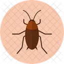 Cockroach Insect Bug Icon