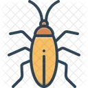 바퀴벌레 블라토데아 벌레 아이콘