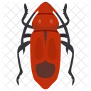 Cockroach Insect Blattaria Icon