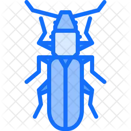 Cockroach  Icon