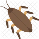 Cockroach Insect Dirty Icon