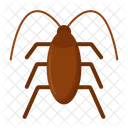 바퀴벌레 곤충 벌레 아이콘