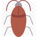 Cockroach Control Exterminator Icon