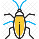 Cockroach Blattodea Bug Icon