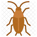 Cockroach  Icon