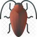 Cockroach Insect Bug Icon