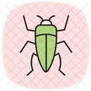 Cockroach Insect Pest Icon
