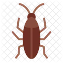 Cockroach Pest Infestation Icon