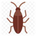 Cockroach  Icon
