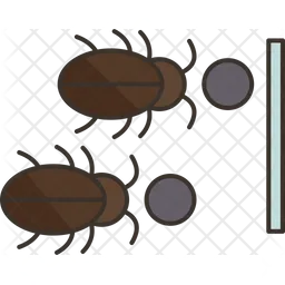 Cockroach  Icon
